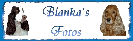Biankas Fotos