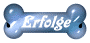 Fanbis auf Ausstellungen