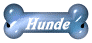 Unsere Hunde