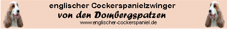 Das ist die Seite meiner Halbschwester Avera (Nicky genannt)